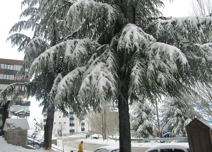 Sueno Nevado Con Piscina A Pie De Telesilla * Sierra Nevada